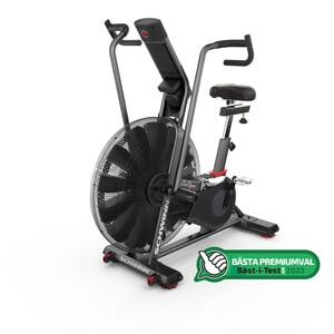 Schwinn Airdyne AD8